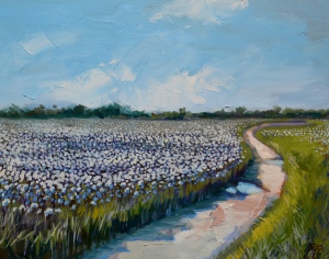Road through Cotton Oil on canvas 16"x20" $500