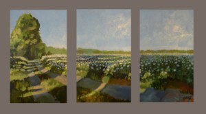 Midlands Cotton Triptych Oil on Board 12"x22" $475